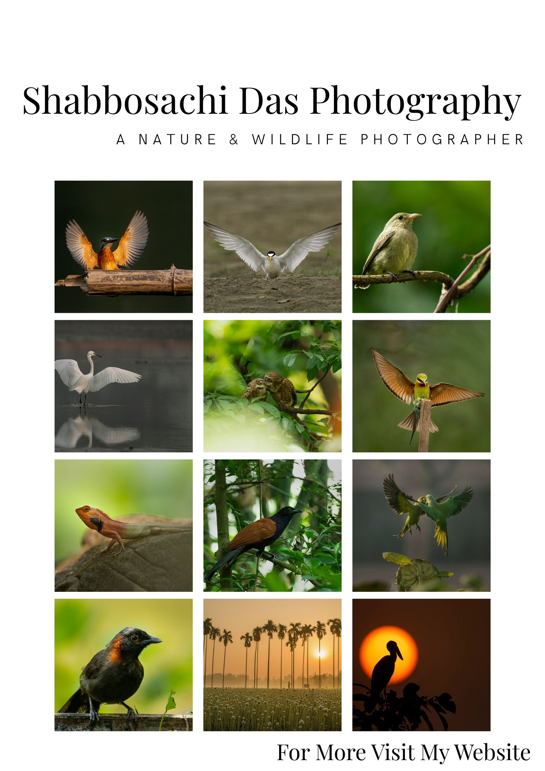 Shabbosachi Das Photography