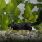Black squirrel on tree branch