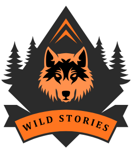 Wild Stories